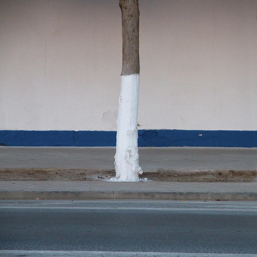 Street Tree Painted With Reflective Photograph by (c) Jaime Monfort