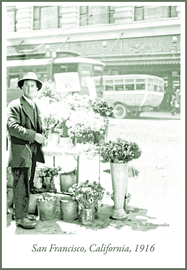 Street Vendor Flower Stand San Francisco 1916 Photograph by A Macarthur Gurmankin
