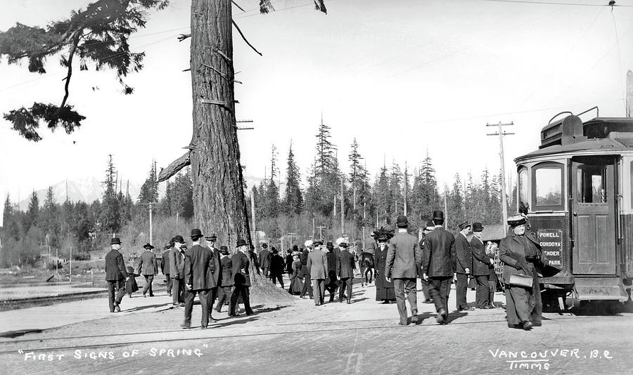 Streetcar 36 at Stanley Park, 1900s _First Sign of Spring_ by Philip Timms Painting by Celestial Images