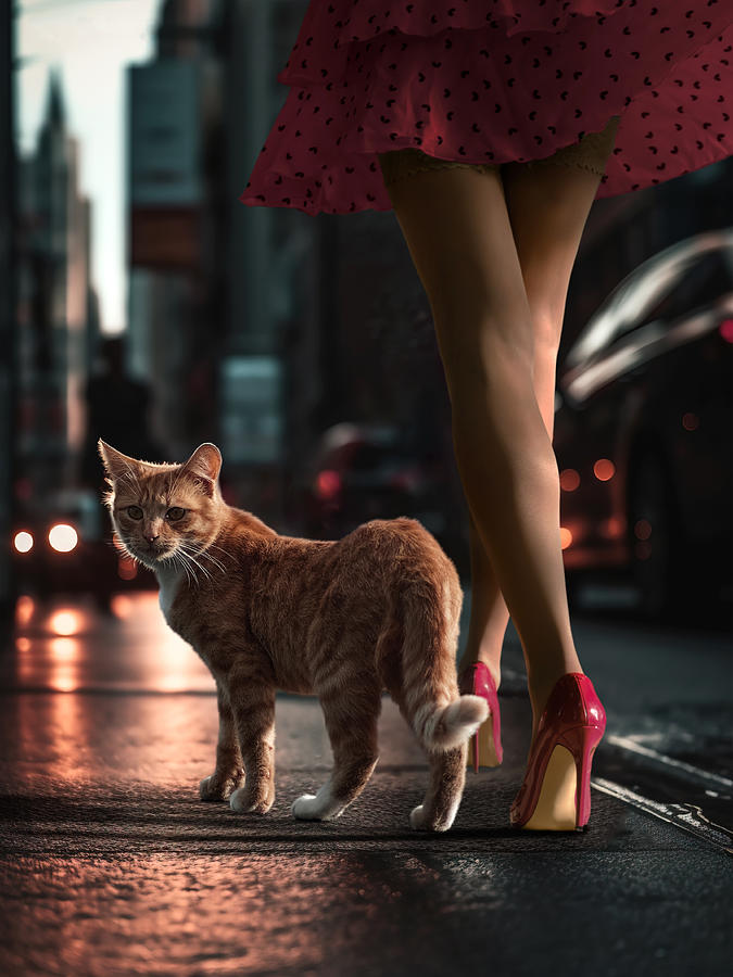 Cat Photograph - Streetcat by Marcel Egger