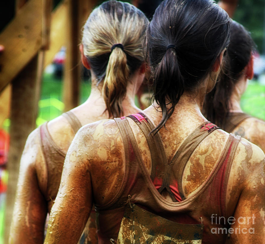 Beauty Photograph - Strength in Threes by Steven Digman Beauty Photograph - Strength in Threes by Steven Digman