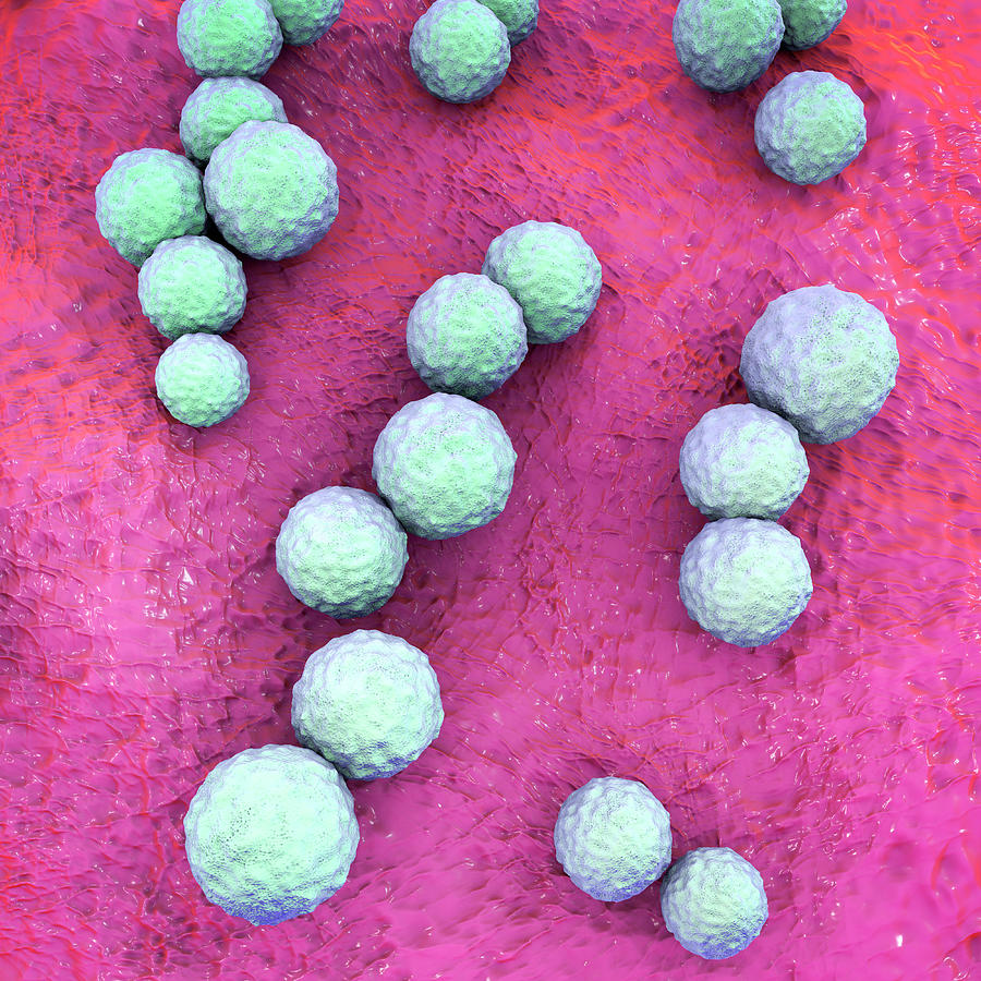 Streptococcus Mutans Bacteria Photograph by Kateryna Kon