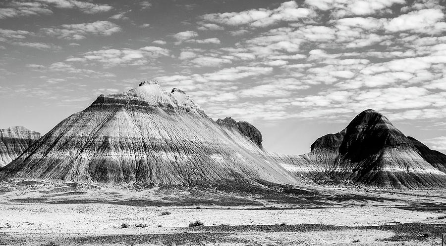 Petrified Forest National Park Photograph - Striated Cone BW by Norman Johnson