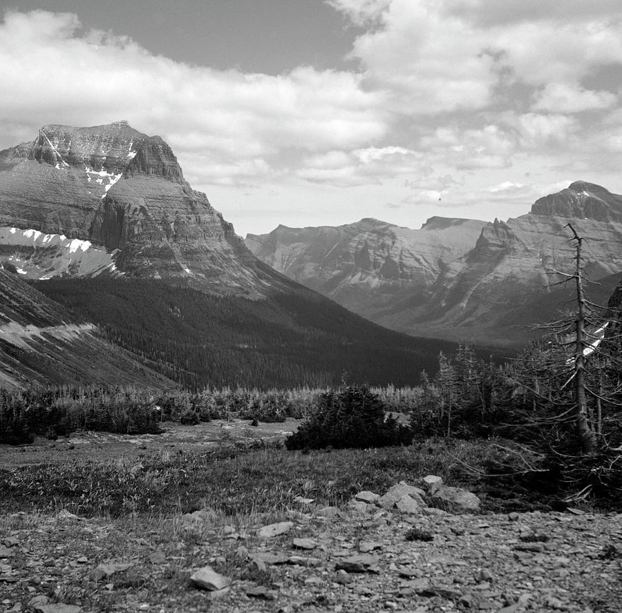 Striated rock formations, Logan Pass, Glacier National Park, Montana ...