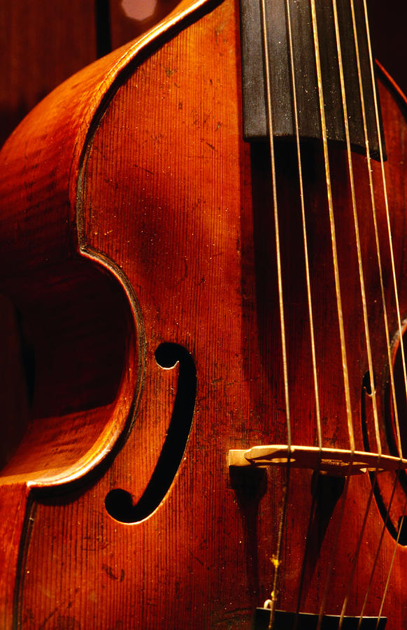 Stringed Instrument In Museum Photograph by Lonely Planet