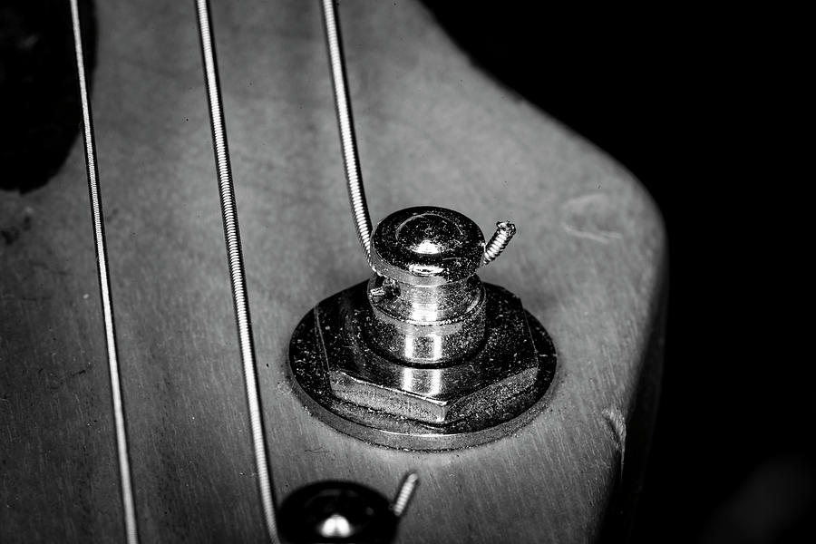 Strings Series 10 Photograph