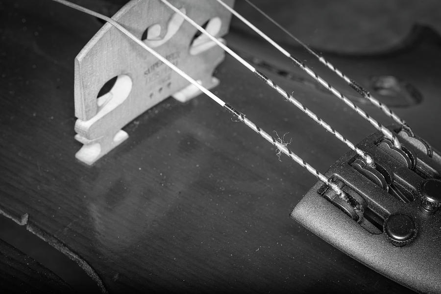 Strings Series 26 Photograph by David Morefield