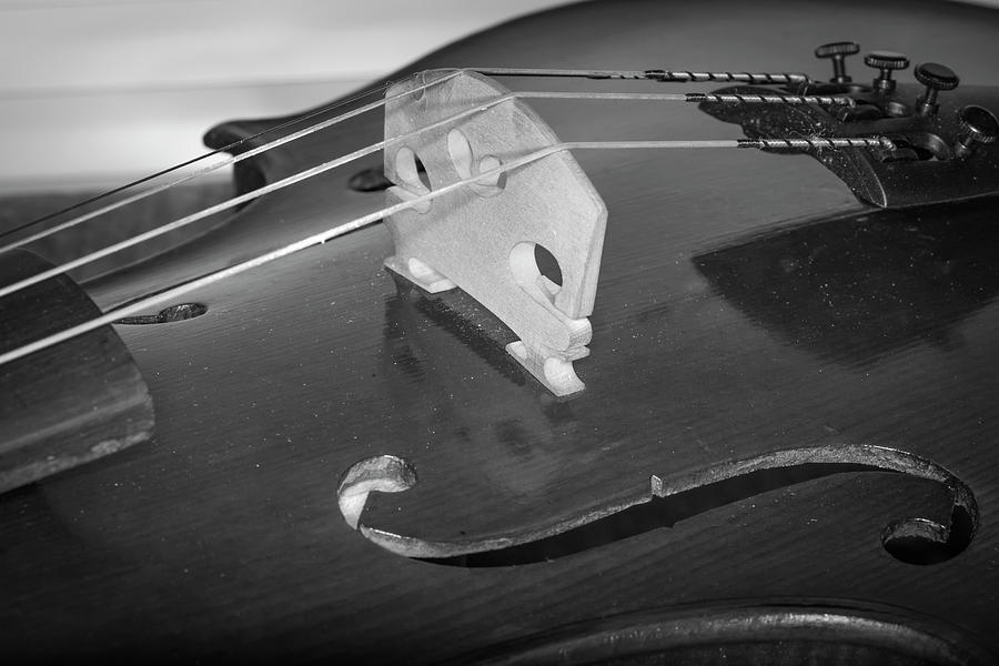 Strings Series 29 Photograph by David Morefield