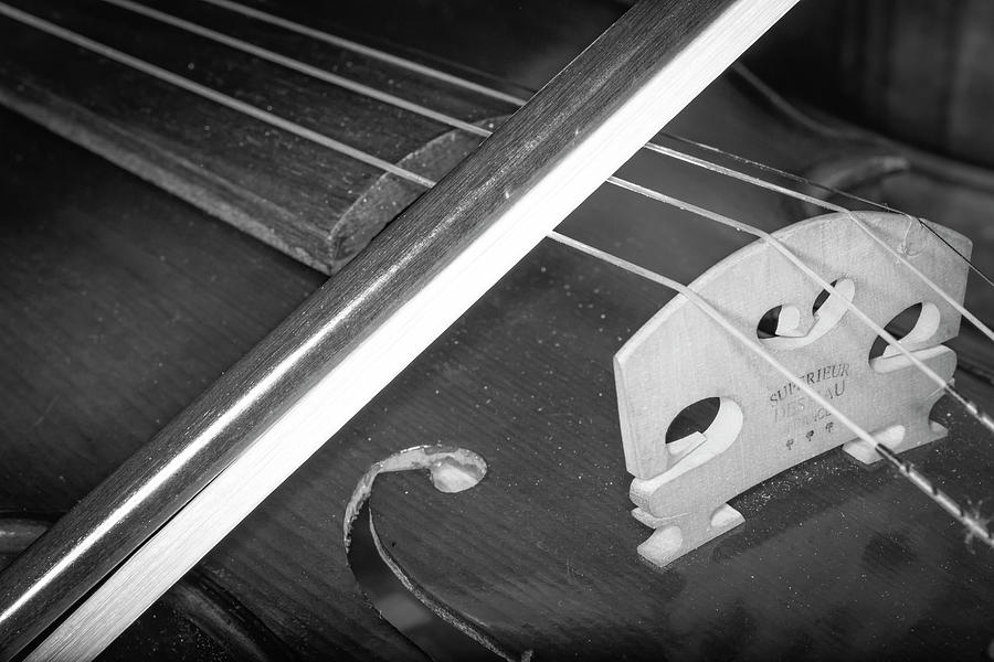 Strings Series 32 Photograph by David Morefield
