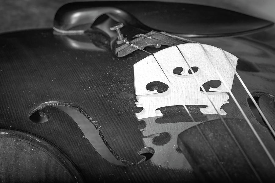 Strings Series 35 Photograph
