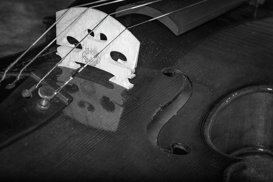 Strings Series 37 Photograph by David Morefield