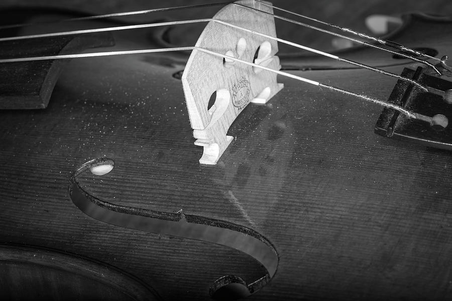 Strings Series 40 Photograph by David Morefield