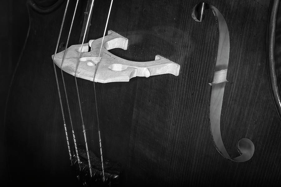 Strings Series 41 Photograph by David Morefield