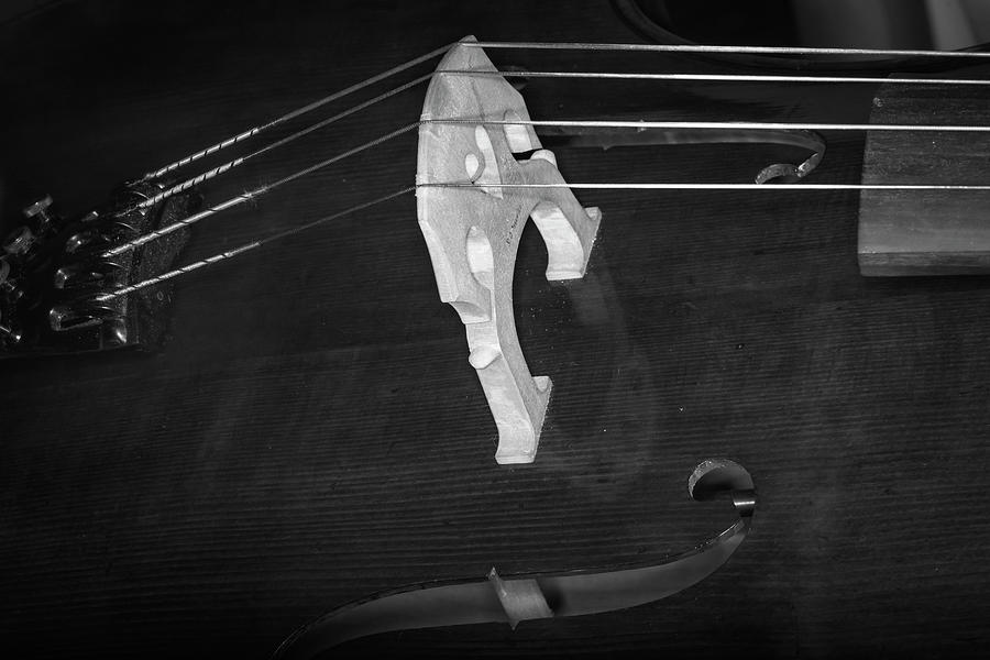 Strings Series 42 Photograph by David Morefield