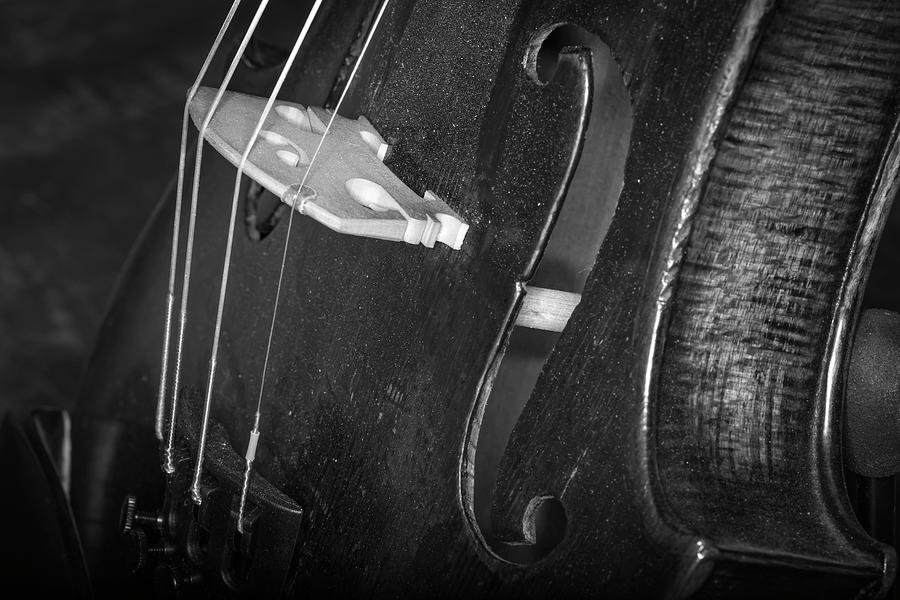 Strings Series 46 Photograph by David Morefield