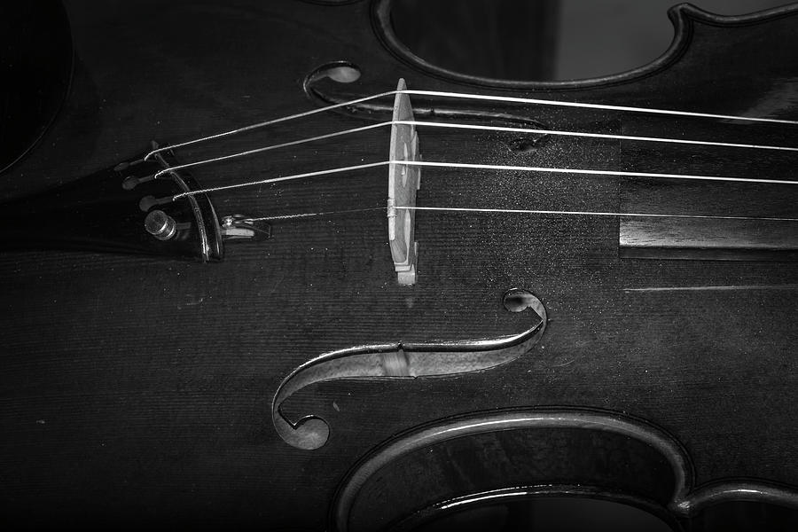 Strings Series 47 Photograph by David Morefield