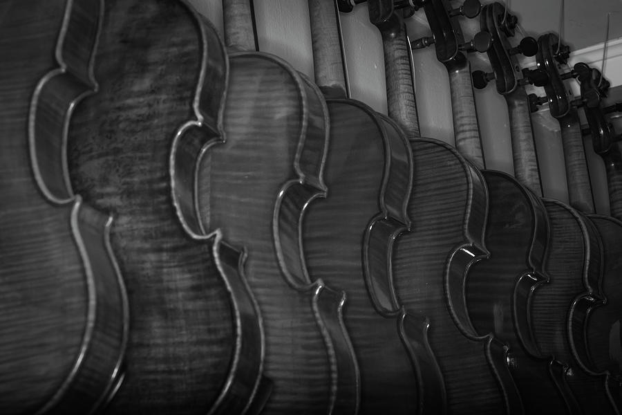 Strings Series 49 Photograph by David Morefield