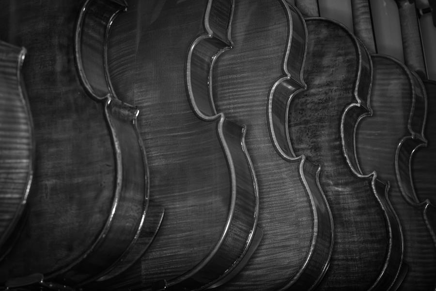 Strings Series 50 Photograph by David Morefield