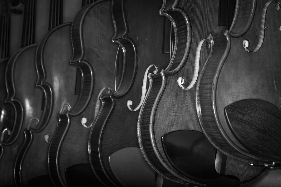 Strings Series 51 Photograph