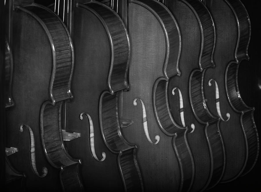 Strings Series 52 Photograph by David Morefield