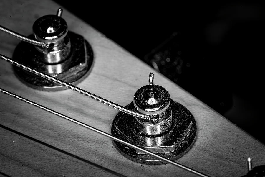 Strings Series 9 Photograph by David Morefield