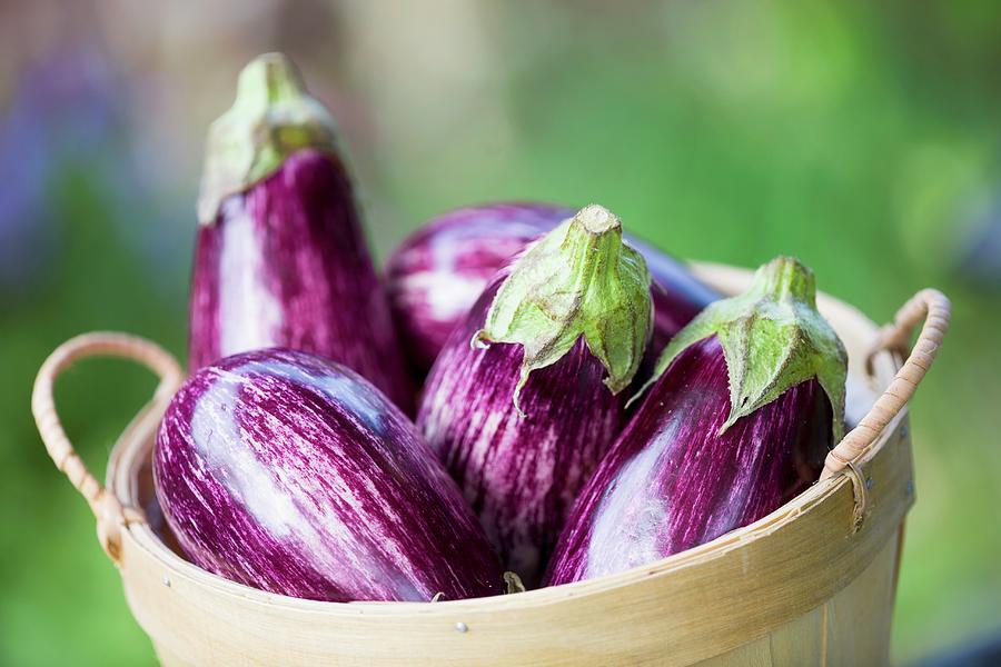 Striped Aubergines In A Wooden Basket Photograph by John Gagne