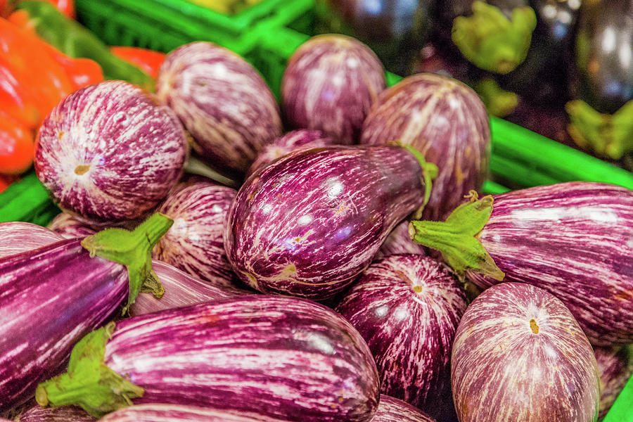 Striped Eggplant  For Sale Photograph by Vivida Photo PC