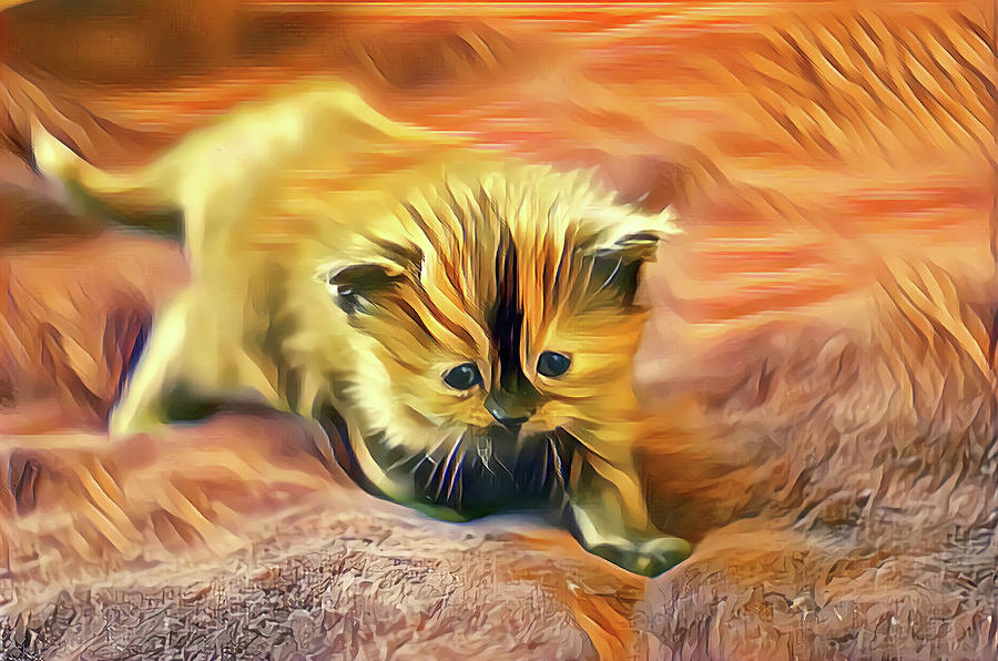 Striped Forehead Kitten Digital Art by Don Northup