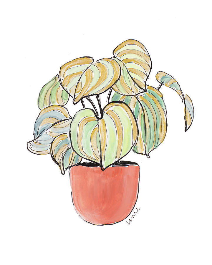 Striped Pothos In Terra Cotta Pot Painting by Lanie Loreth Fine Art America