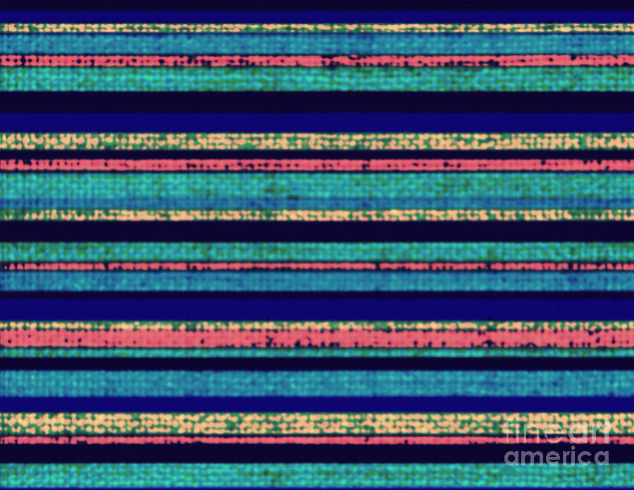 Stripes Of Color Digital Art