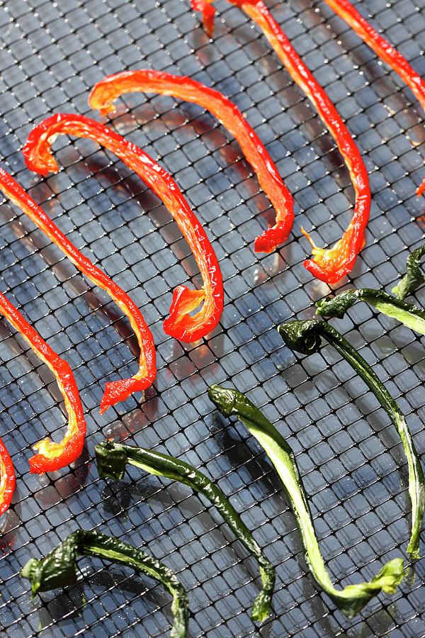 Strips Of Red And Green Pepper On A Wire Rack In A Solar Dryer Photograph by Lee Parish