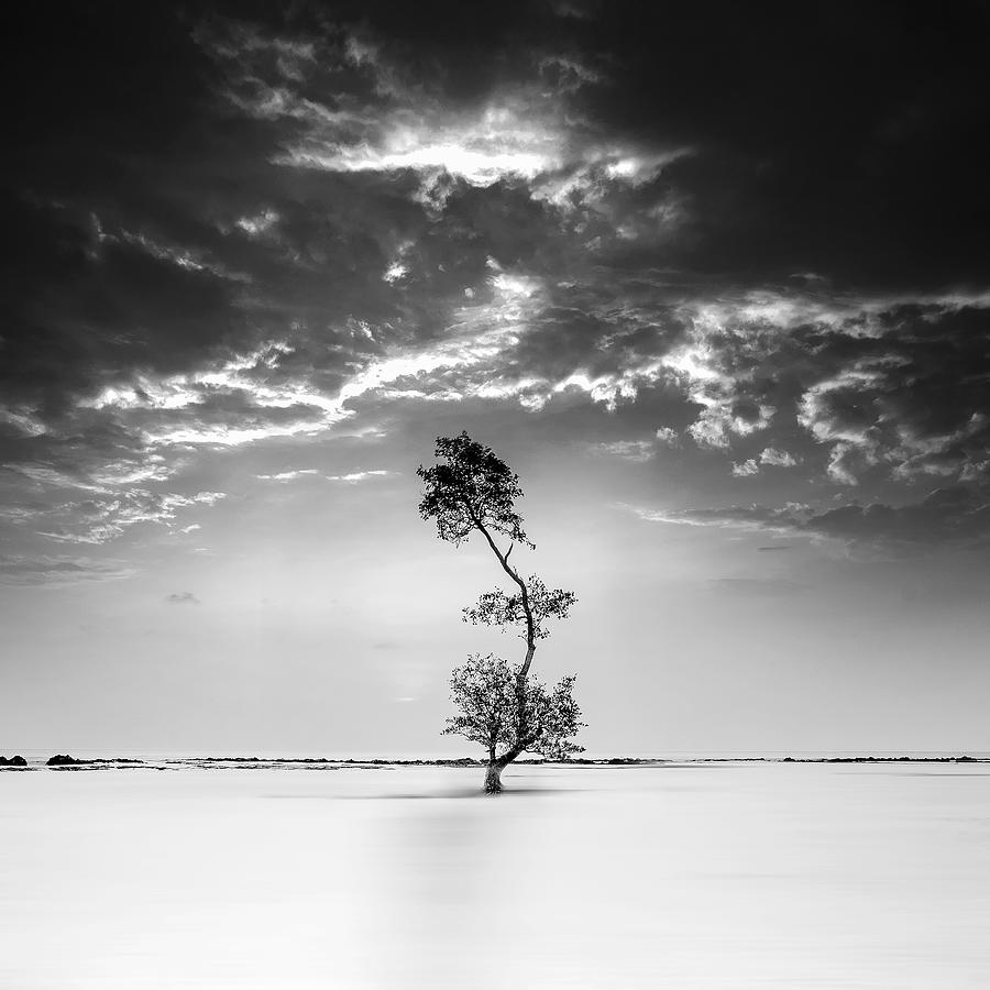 Black And White Photograph - Strive by Dedy