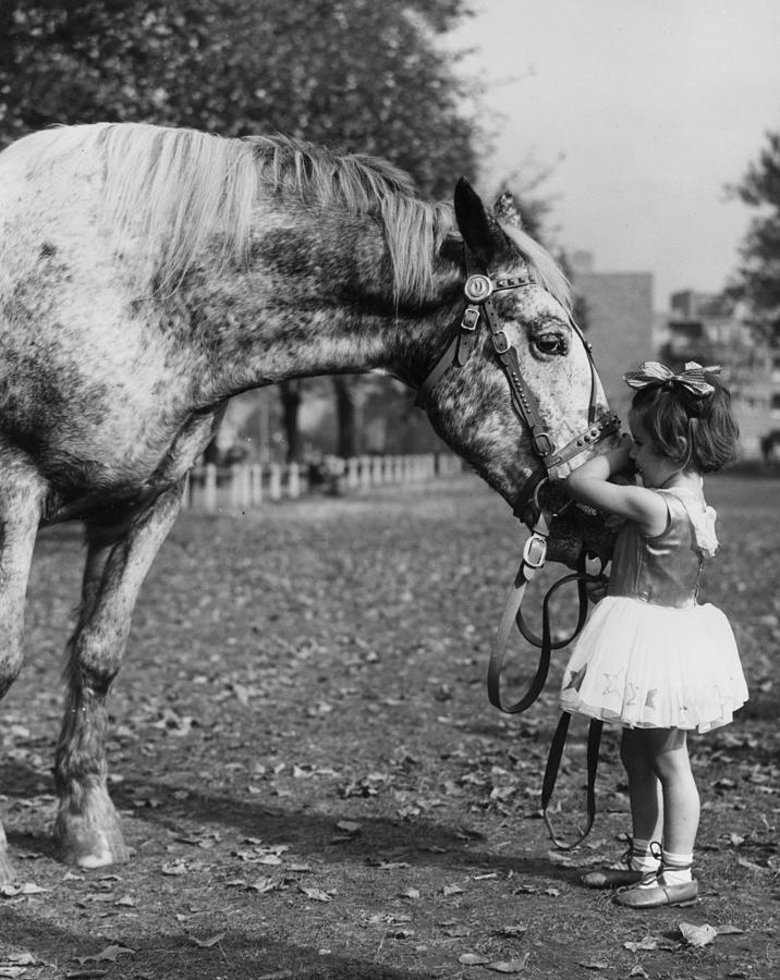 Stroking Horse Photograph by George W. Hales