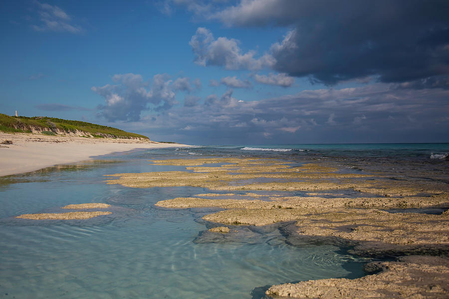 Stromatolite Photograph - Stromatolites On Stocking Island by Thomas Kallmeyer Stromatolite Photograph - Stromatolites On Stocking Island by Thomas Kallmeyer