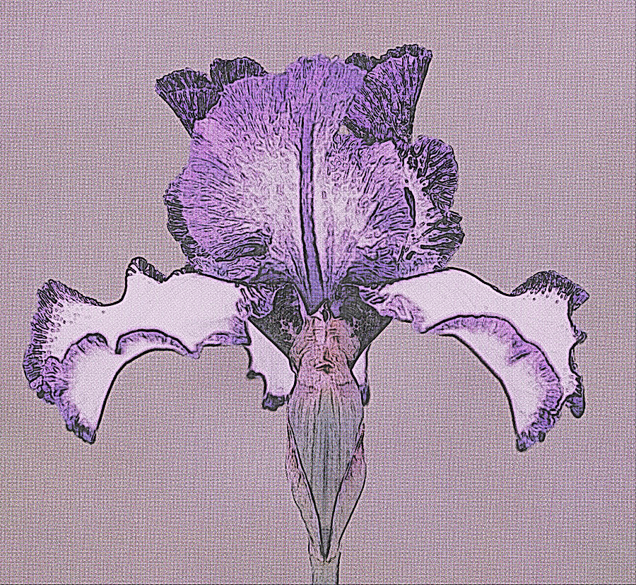 Iris Digital Art - Strong and Beautiful by Sherry Hallemeier