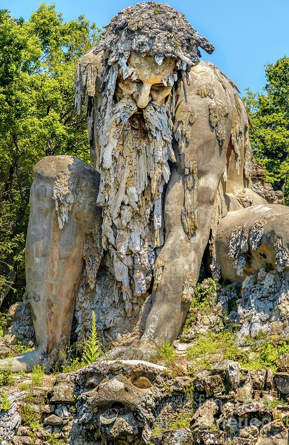 strong old bearded man statue colossus giant public gardens of Demidoff Florence Italy vertical Photograph by Luca Lorenzelli