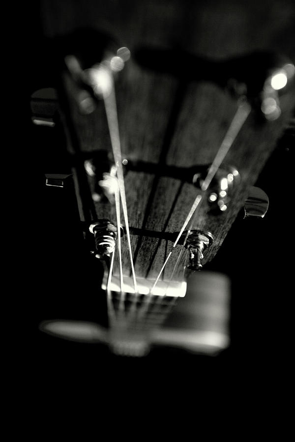 Strung Up Photograph by Bill Miles Photography Strung Up Photograph by Bill Miles Photography