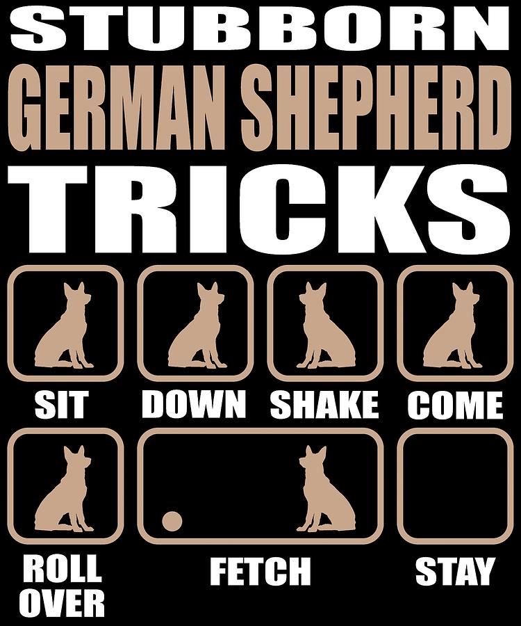 stubborn german shepherd