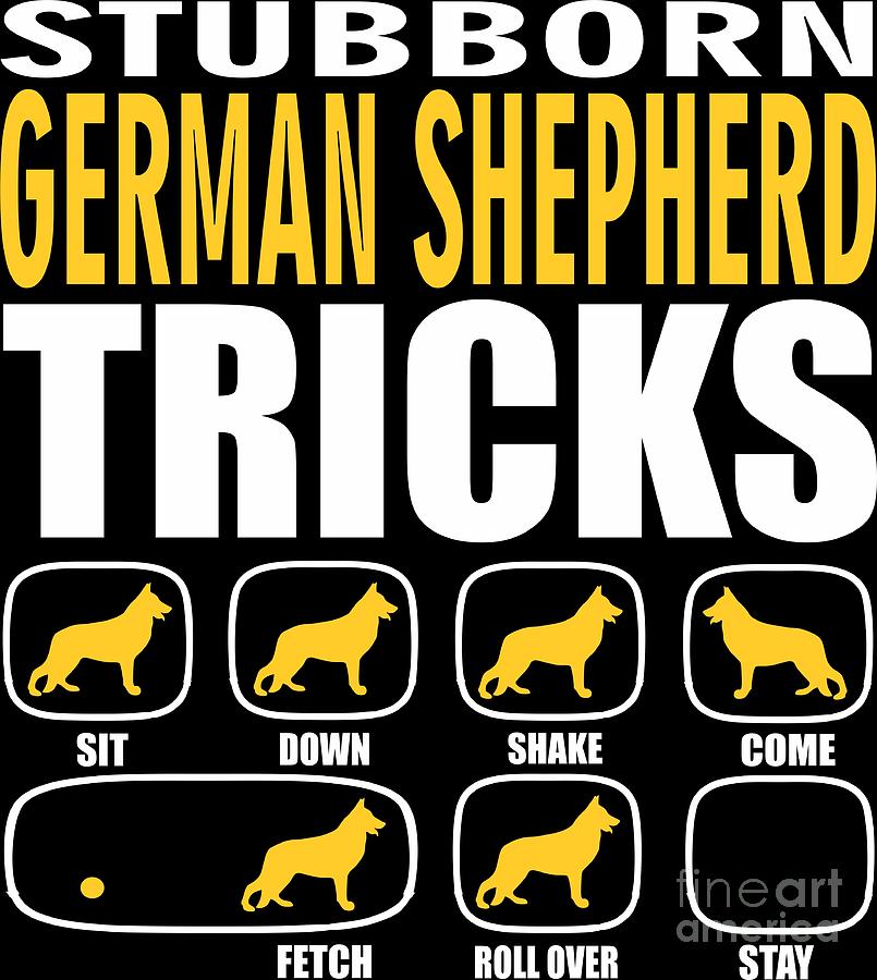 stubborn german shepherd