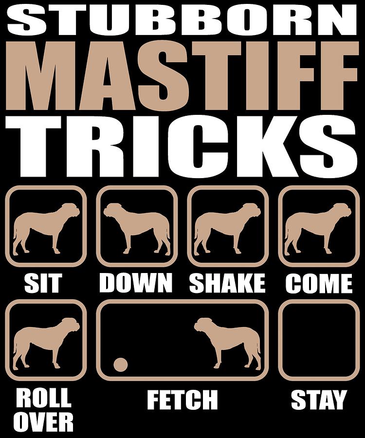 are mastiffs stubborn