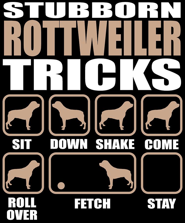 are rottweilers stubborn