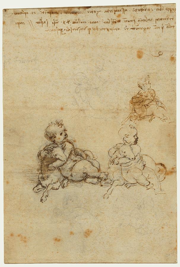 Vintage Drawing - Studies For The Christ Child With A Lamb by Leonardo Da Vinci