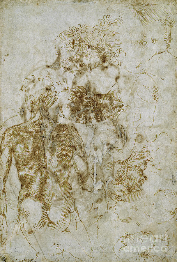 Studies Of Male Nude By Michelangelo Painting by Michelangelo Buonarroti