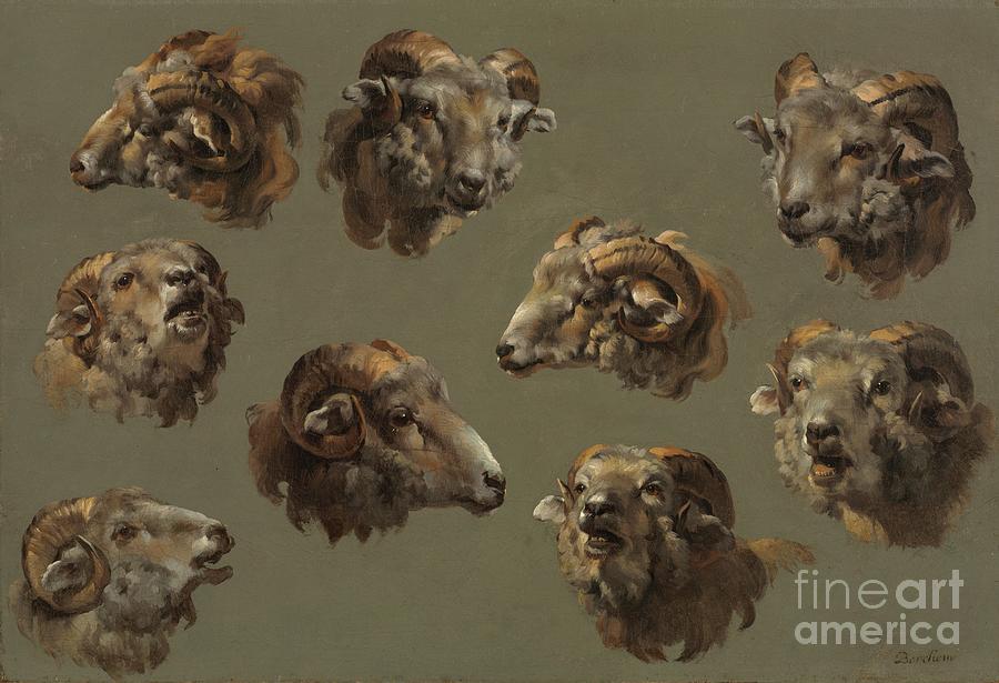 Studies Of Ram Heads Drawing by Heritage Images