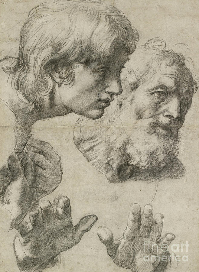 Studies Of The Heads Of Two Apostles And Of Their Hands By Raphael Painting by Raphael