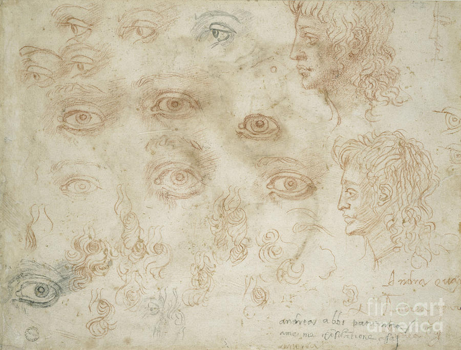 Studies Of Two Heads, Circa 1525 Chalk By Michelangelo Painting by Michelangelo Buonarroti