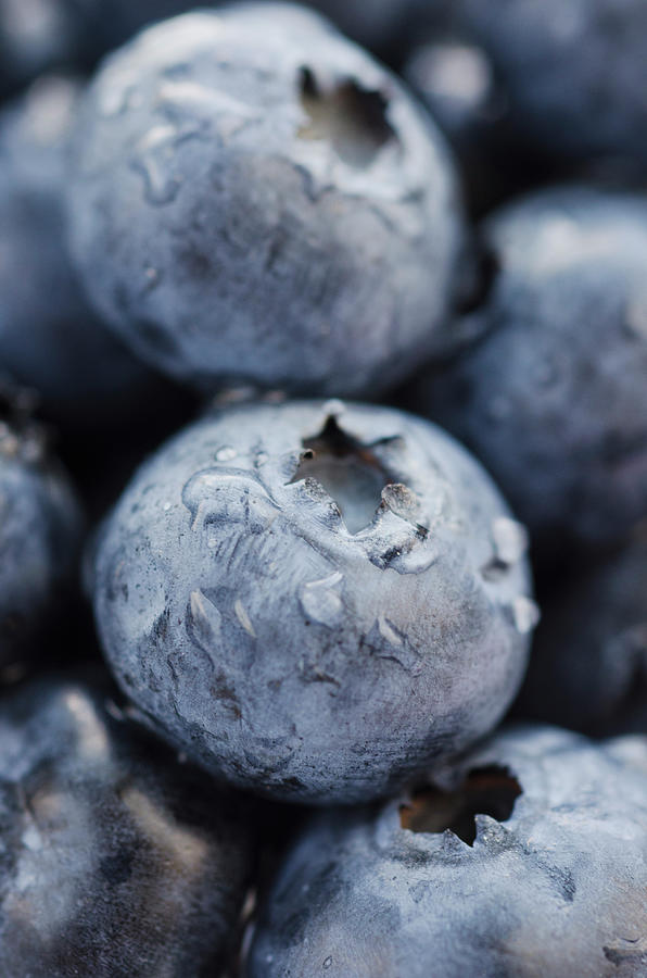 Studio Shot Of Blueberries Photograph by Tetra Images