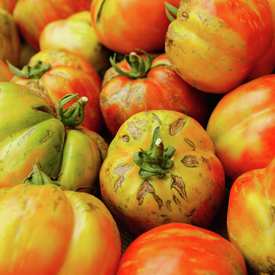 Studio Shot Of Heirloom Tomatoes Photograph by Tetra Images