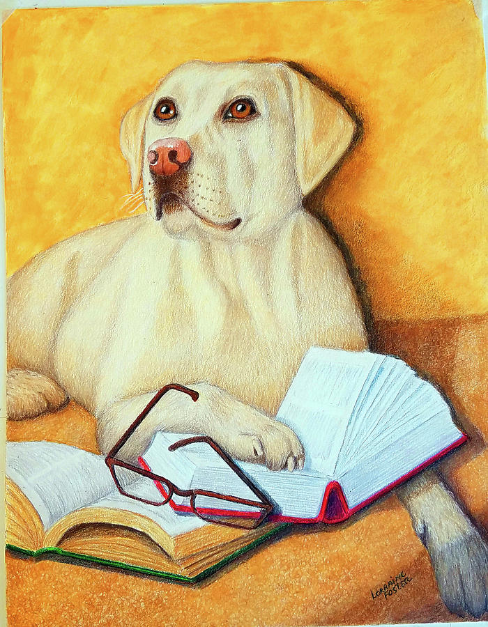 Studious Dog Drawing by Lorraine Foster Pixels