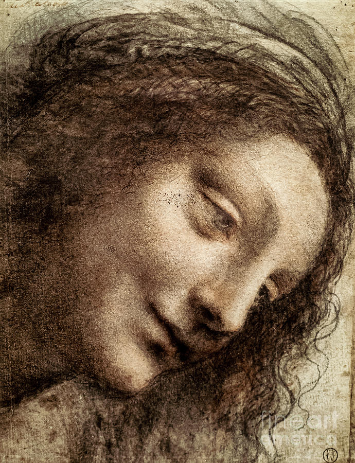 Study for the Head of the Virgin by Leonardo da Vinci Drawing by Leonardo da Vinci